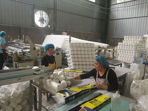 在家生產加工衛生紙的可行性與設備指南